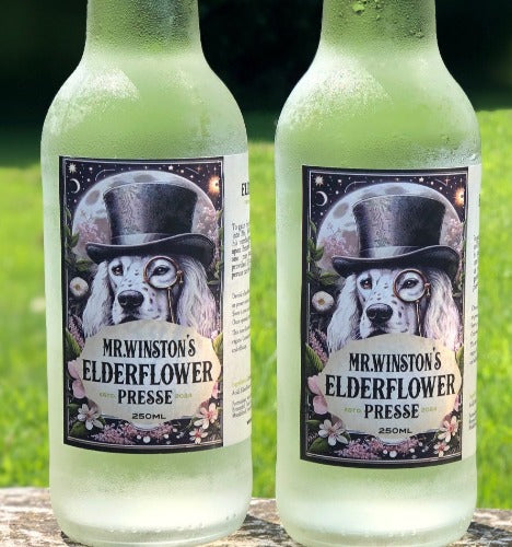 Mr Winston's refreshing and sparkling natural elderflower  pressé